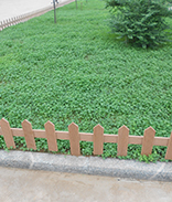 ��ľ���DƬ